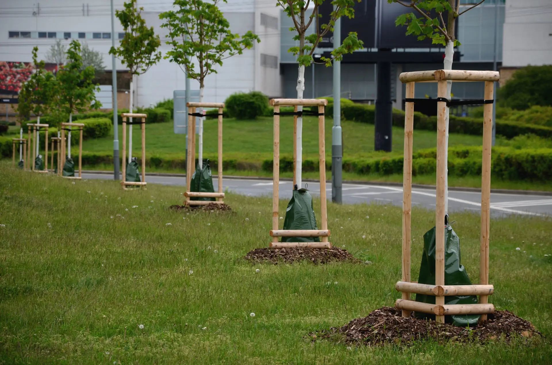 Tree Watering Bags