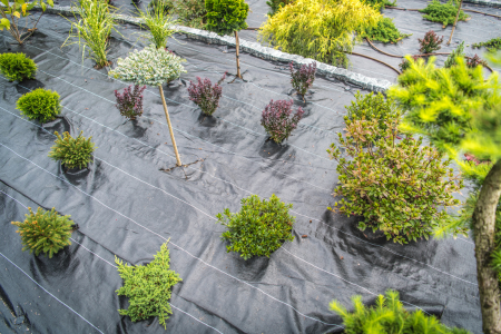 Weed Barrier Fabric