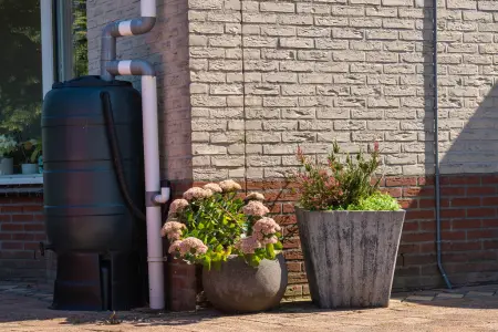 Rain Barrels