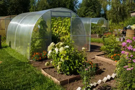 greenhouse